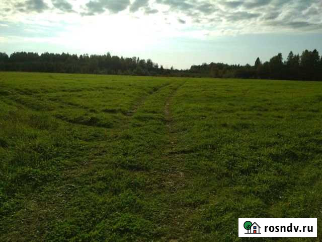 Участок СНТ, ДНП 350 сот. на продажу в Тутаеве Тутаев - изображение 1