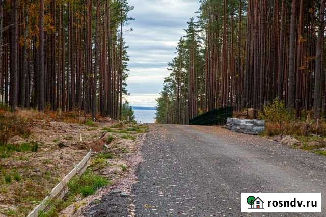 Участок ИЖС 15 сот. на продажу в Песочном Песочное - изображение 1