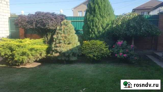 Питомник Растений Волгоград - изображение 1