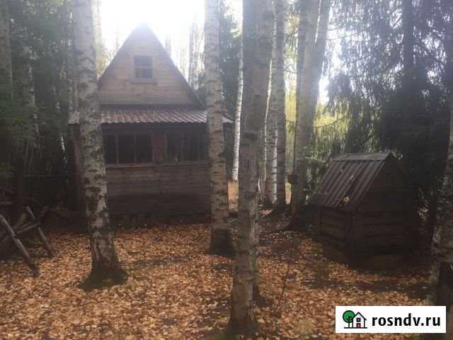 Дача 20 м² на участке 20 сот. на продажу в Оричах Оричи - изображение 1