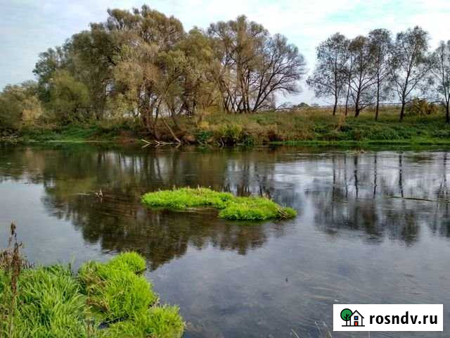 Участок СНТ, ДНП 246 сот. на продажу в Жукове Жуков - изображение 1