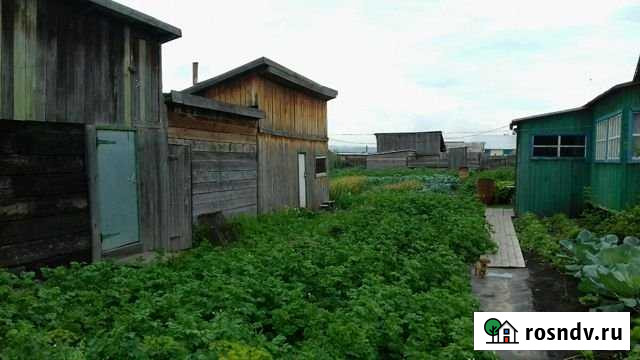 Дом 36 м² на участке 8 сот. на продажу в Заринске Заринск - изображение 1