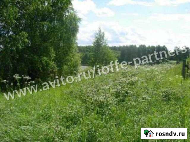 Участок СНТ, ДНП 2165 сот. на продажу в Муромцево Владимирской области Муромцево - изображение 1