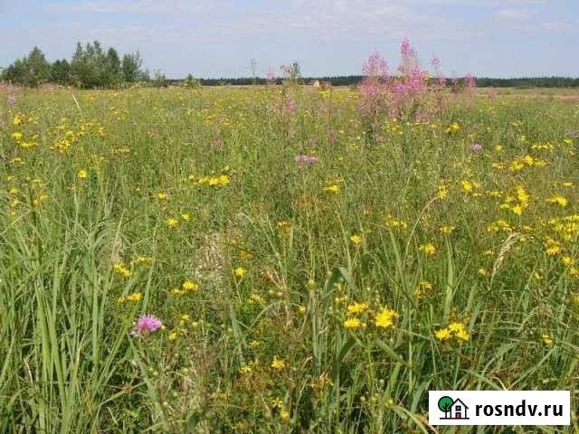 Участок ИЖС 10 сот. на продажу в Горбунках Горбунки - изображение 1