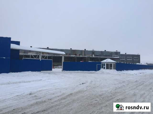 Складское помещение, 800 кв.м. Вологда - изображение 1