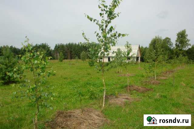 Участок СНТ, ДНП 2000 сот. на продажу в Мосальске Мосальск - изображение 1