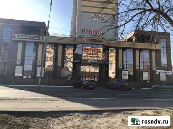 Рябина Брянск