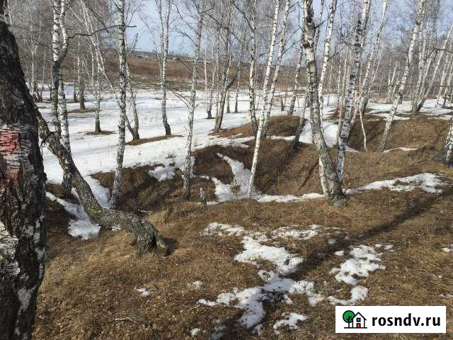 Участок ИЖС 25 сот. на продажу в Рощино Челябинской области Рощино - изображение 1