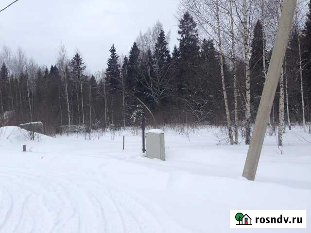 Участок ИЖС 10 сот. на продажу в Дмитрове Дмитров - изображение 1