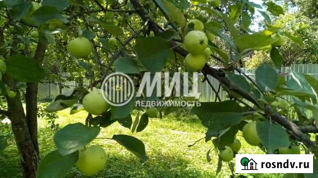 Участок СНТ, ДНП 10 сот. на продажу в Химках Химки - изображение 1