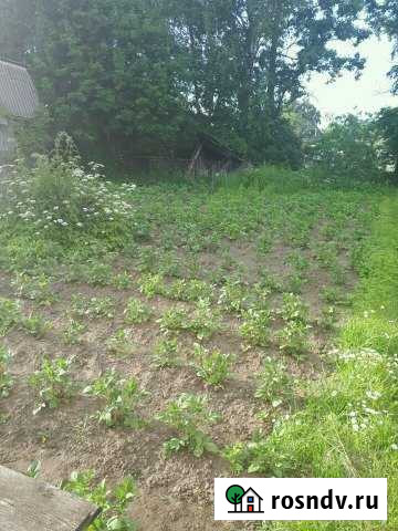 Участок СНТ, ДНП 6 сот. на продажу в Костроме Кострома - изображение 1
