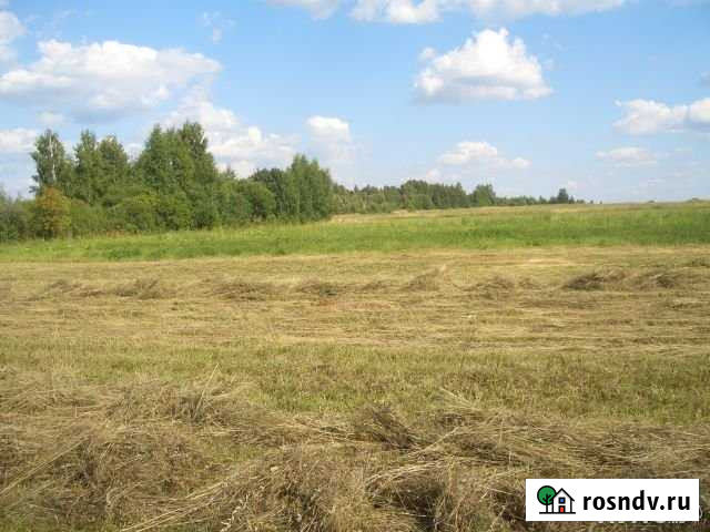 Участок ИЖС 662 сот. на продажу в Бурмакино Бурмакино - изображение 1