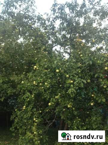 Участок СНТ, ДНП 8 сот. на продажу в Ивантеевке Московской области Ивантеевка - изображение 1