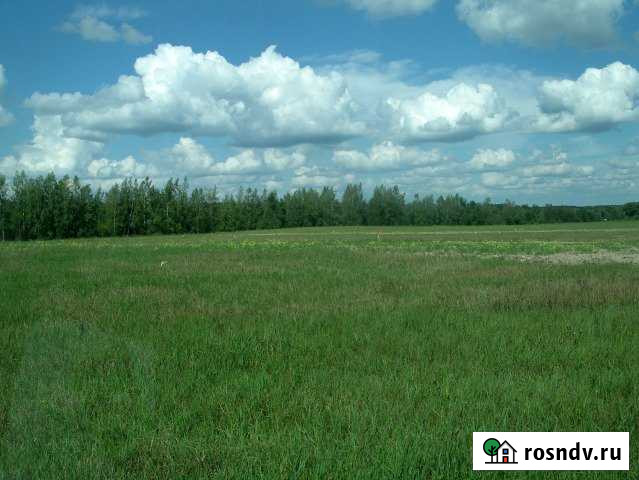 Участок СНТ, ДНП 8 сот. на продажу в Наро-Фоминске Наро-Фоминск - изображение 1