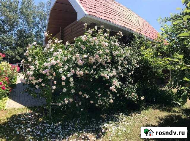 Дача 85 м² на участке 7.5 сот. на продажу в Арпачине Арпачин - изображение 1