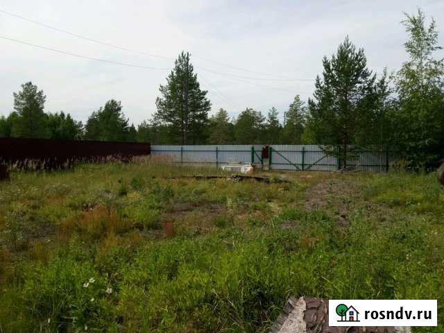 Участок СНТ, ДНП 6 сот. на продажу в Сургуте Ханты-Мансийского АО Сургут - изображение 1