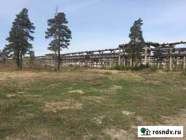 Участок промназначения 103 сот. на продажу в Ангарске Ангарск - изображение 1