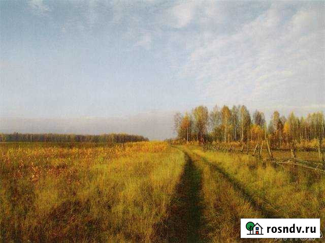 Участок ИЖС 3000 сот. в аренду в Дятьково Дятьково - изображение 1