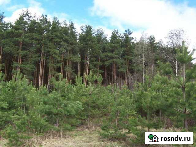 Участок ИЖС 15 сот. на продажу в Радужном Владимирской области Радужный - изображение 1