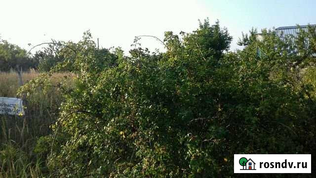 Участок СНТ, ДНП 5 сот. на продажу в Романовской Романовская - изображение 1