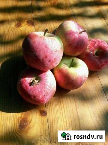 Коттедж 120 м² на участке 7.3 сот. на продажу в Красном Сулине Красный Сулин - изображение 1