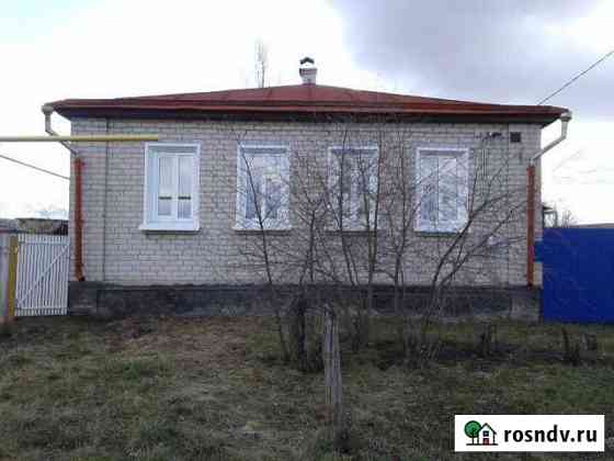 Дом 81 м² на участке 14 сот. на продажу в Репьевке Репьевка