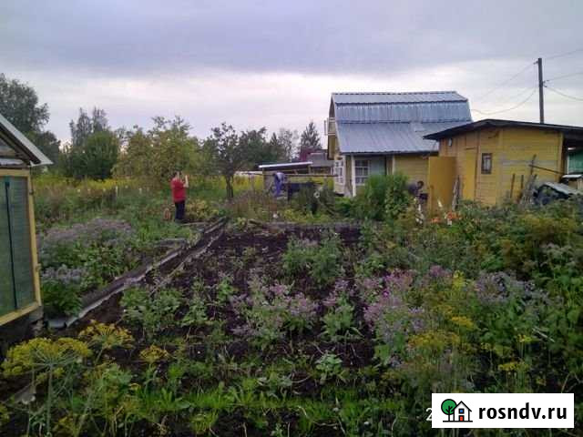 Дача 56 м² на участке 6 сот. на продажу в Рыбинске Рыбинск - изображение 1