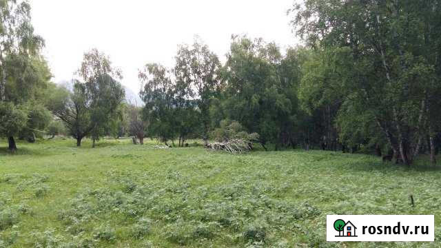 Участок СНТ, ДНП 840 сот. на продажу в Онгудае Онгудай - изображение 1