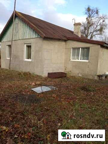 Дом 60 м² на участке 12 сот. на продажу в Ладушкине Ладушкин - изображение 1