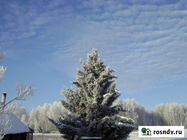 Участок ИЖС 20 сот. на продажу в Сухобузимском Сухобузимское - изображение 1