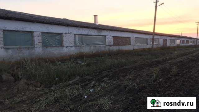 Ферма овощебаза склад Ленинградская - изображение 1