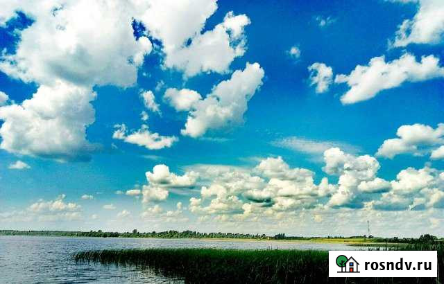 Дом 58 м² на участке 22 сот. на продажу в Красномайском Красномайский - изображение 1