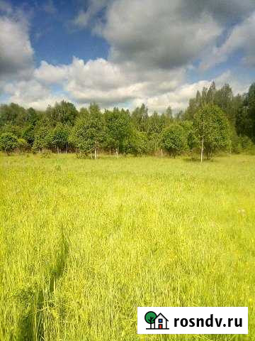 Участок ИЖС 30 сот. на продажу в Можайске Можайск - изображение 1