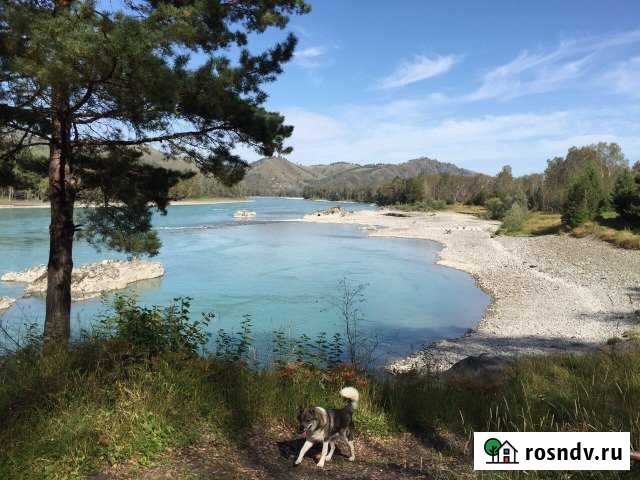 Участок СНТ, ДНП 10 сот. на продажу в Горно-Алтайске Горно-Алтайск - изображение 1