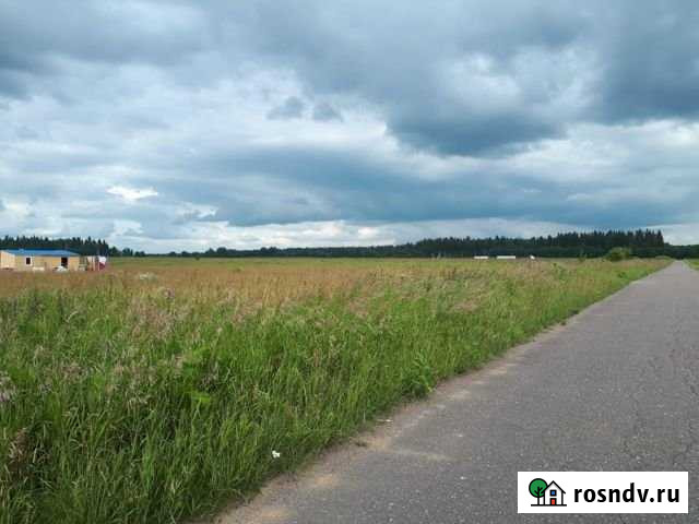 Участок СНТ, ДНП 200 сот. на продажу в Волосово Волосово - изображение 1