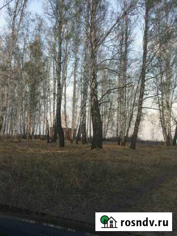 Дача 20 м² на участке 8 сот. на продажу в Ялуторовске Ялуторовск - изображение 1