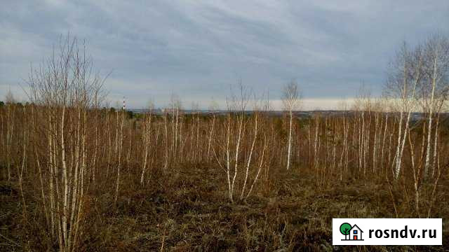 Участок СНТ, ДНП 9 сот. на продажу в Шелехове Шелехов - изображение 1