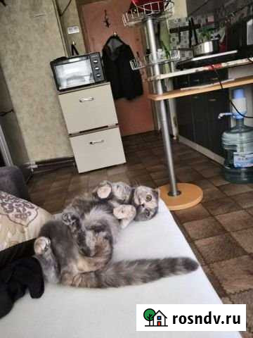 Комната 18 м² в 1-ком. кв., 1/5 эт. на продажу в Туле Тула - изображение 1