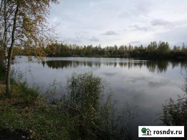 Участок СНТ, ДНП 6 сот. на продажу в Воровского Воровского - изображение 1