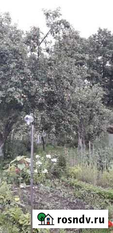 Дача 20 м² на участке 4 сот. на продажу в Ново-Талицах Ново-Талицы - изображение 1