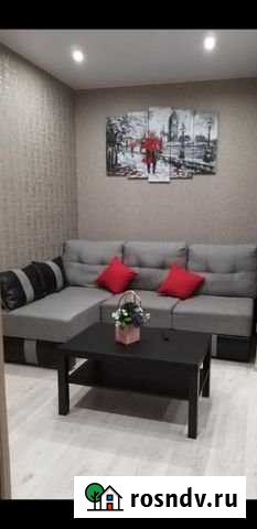 2-комнатная квартира, 39 м², 6/12 эт. в аренду посуточно в Петрозаводске Петрозаводск - изображение 1