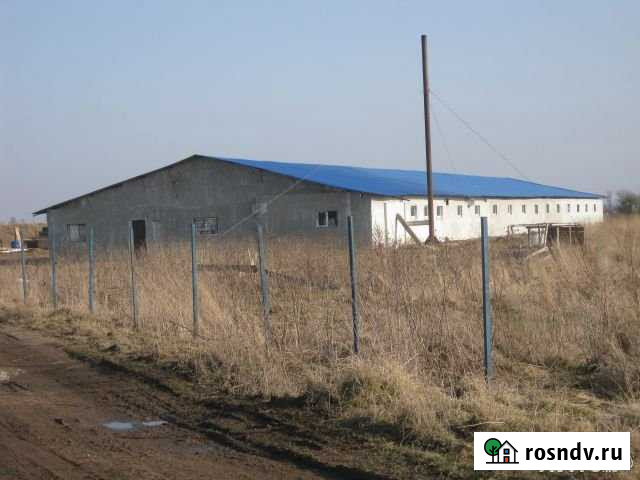 Продам помещение Калининград - изображение 1