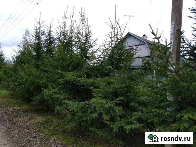 Дача 75 м² на участке 13 сот. на продажу в Толмачево Ленинградской области Толмачево - изображение 1