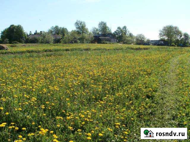 Участок ИЖС 50 сот. на продажу в Новоржеве Новоржев - изображение 1