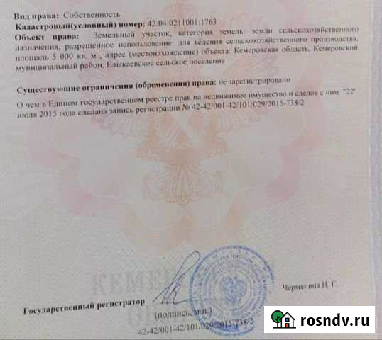 Участок СНТ, ДНП 50 сот. на продажу в Кемерово Кемерово - изображение 1