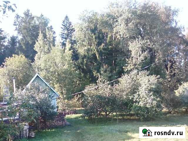 Участок СНТ, ДНП 7 сот. на продажу в Ивантеевке Московской области Ивантеевка - изображение 1