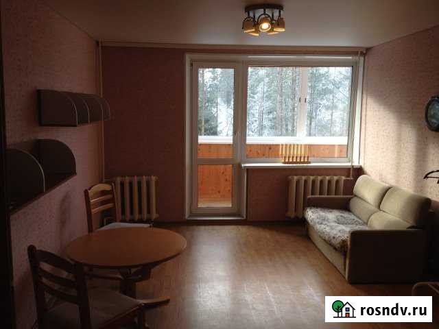 2-комнатная квартира, 49.6 м², 3/9 эт. на продажу в Питкяранте Питкяранта - изображение 1