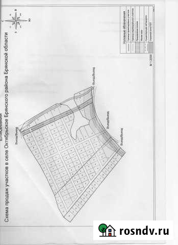 Участок ИЖС 20 сот. на продажу в Добруне Добрунь - изображение 1