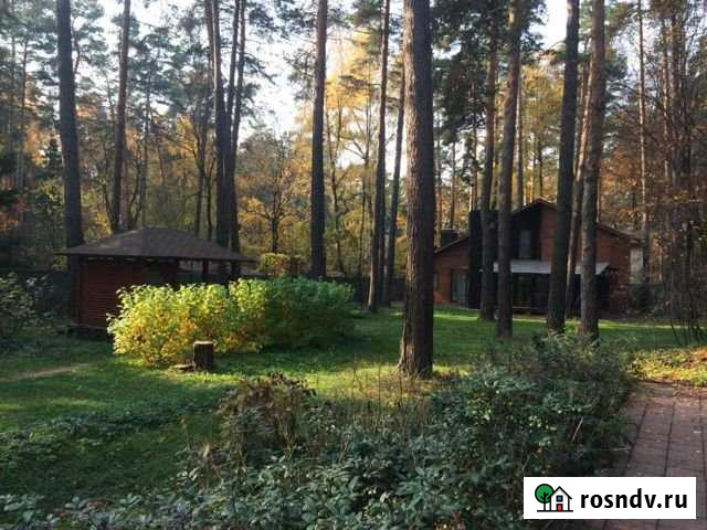 Участок ИЖС 20 сот. на продажу в Борском Борское - изображение 1