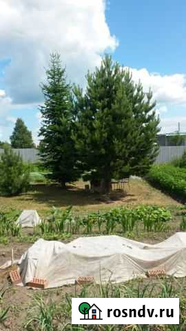 Дача 30 м² на участке 12 сот. на продажу в Барышево Барышево - изображение 1